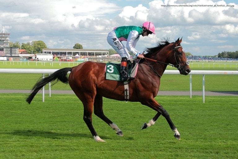 A Horse Racing Legend of the Flat – Frankel