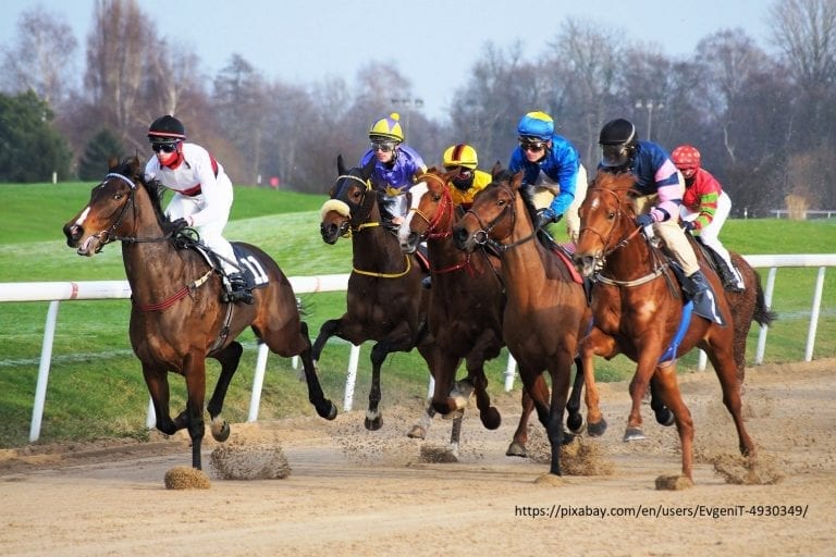 Horseracing and the Lowdown on Trainer Changes