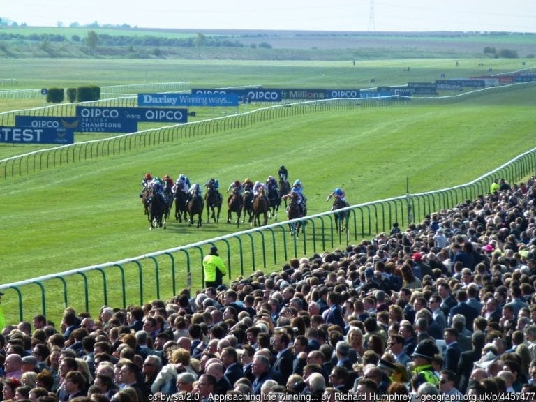 Qipco Guineas Festival Preview