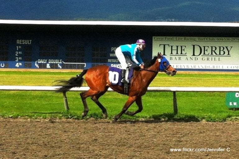 Dundalk AW Racecourse – Trainers to follow.