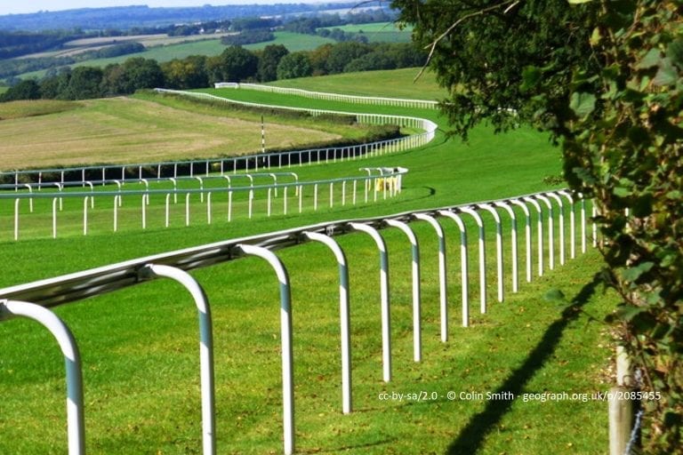 The Glorious Goodwood