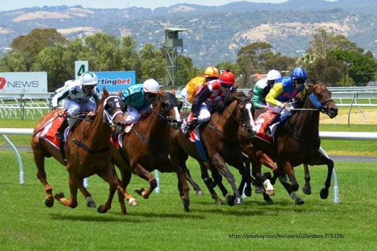 Luca Cumani: A Punters Perspective