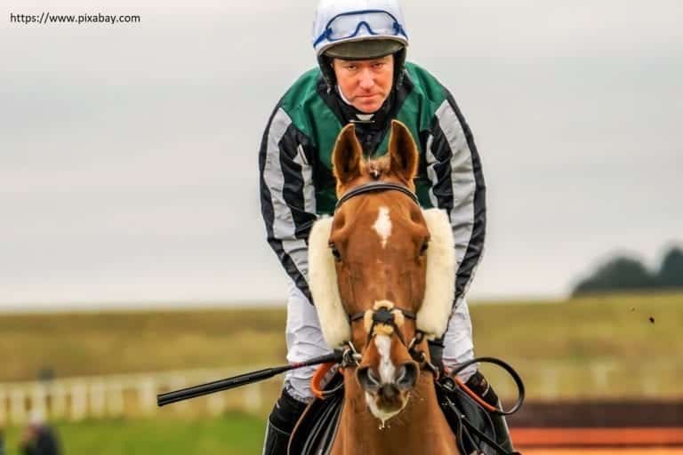 Signposts for The Cheltenham Festival