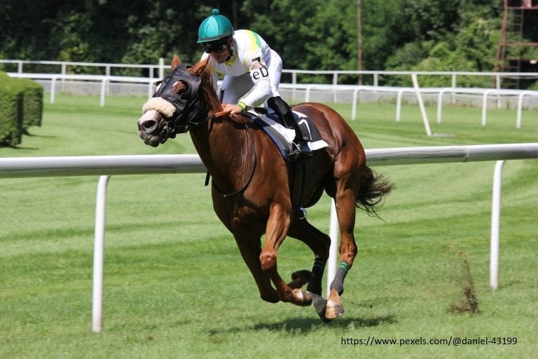 Horse Racing Trends