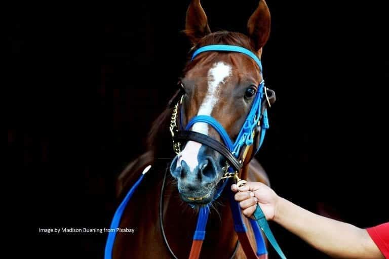 Sires and Courses