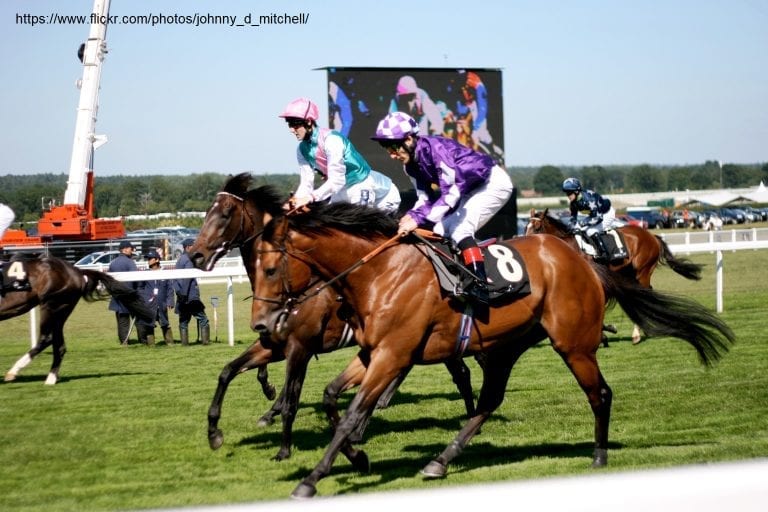 royal ascot trends analysis