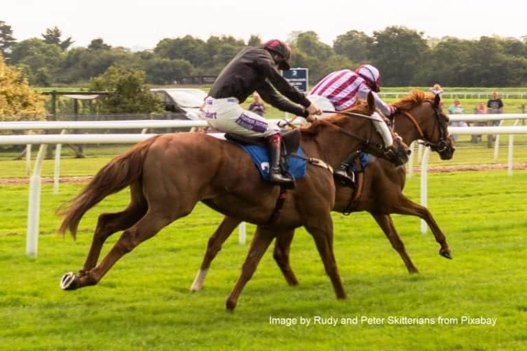 November Acorns – National Hunt Trainers