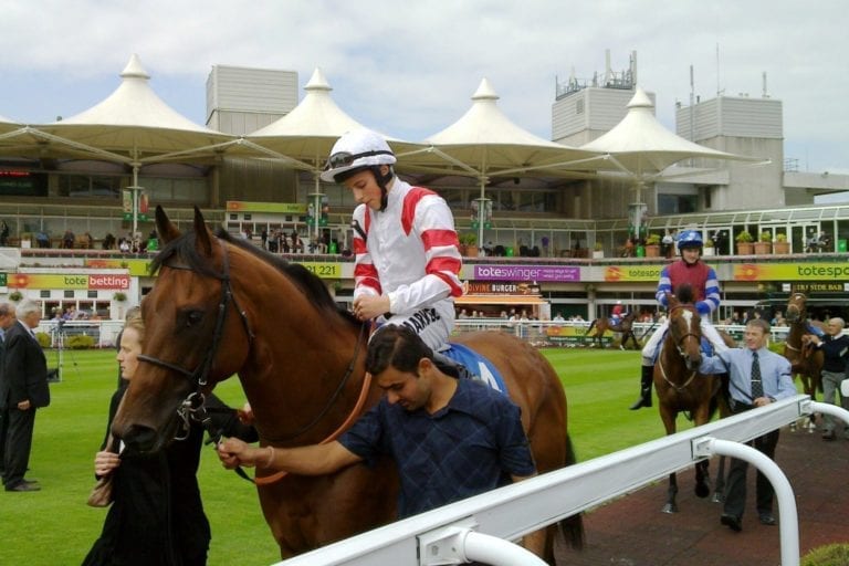 Festive Acorns: Trainers to follow in December