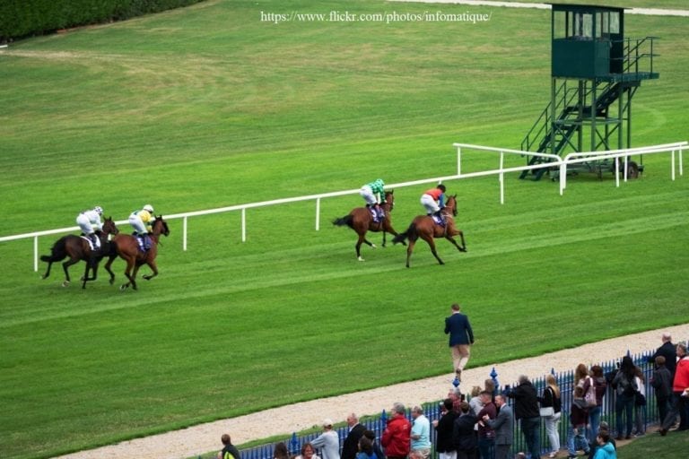 down royal racecourse
