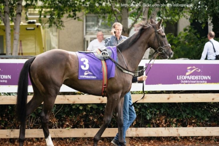 February Acorns – Clues for Cheltenham from Leopardstown