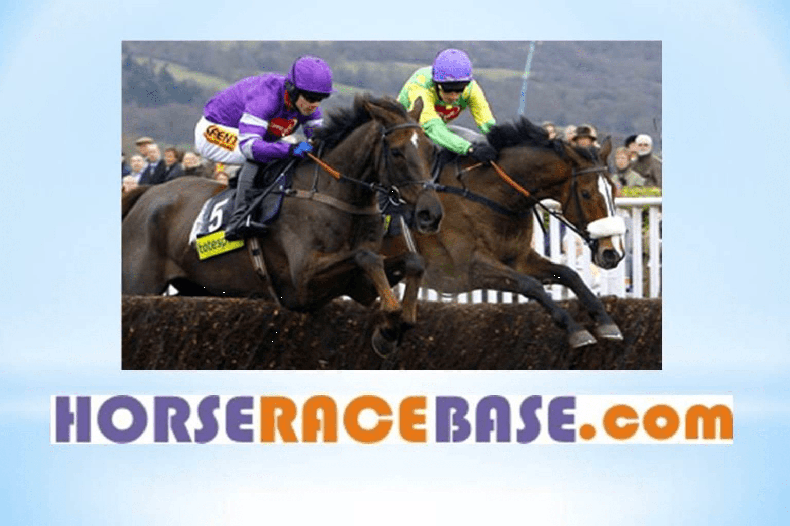 horseracebase