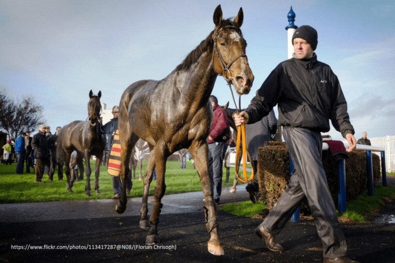 Fairyhouse Racecourse: Home of the Irish Grand National