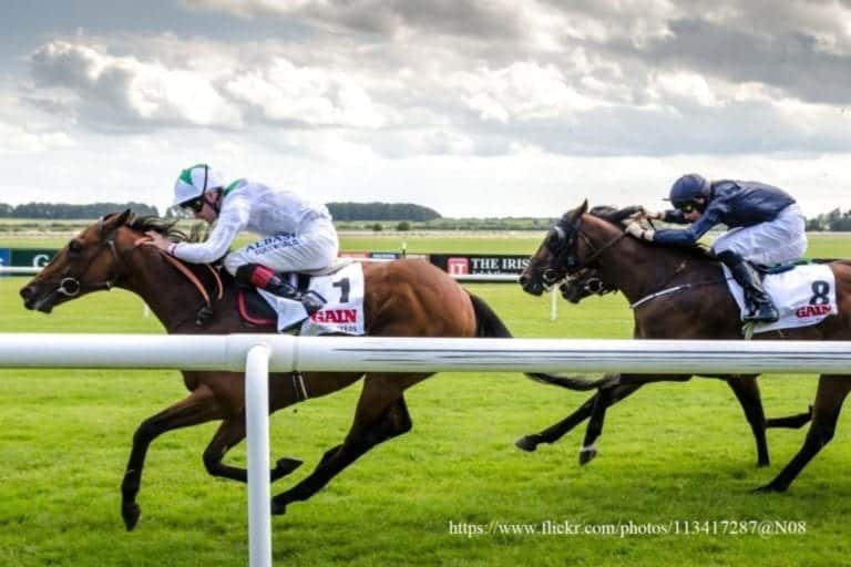 Curragh Racecourse: The Home of Irish Flat Racing