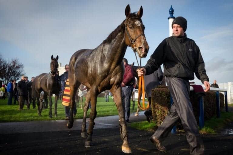 Naas Racecourse