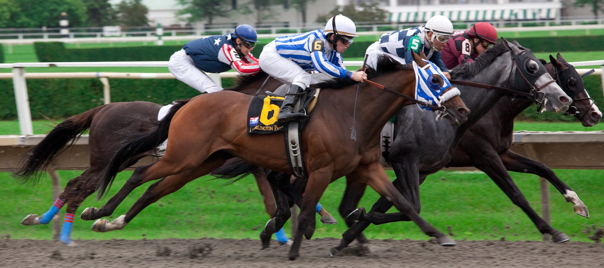 Horses Racing - The Nap is the best bet of the day