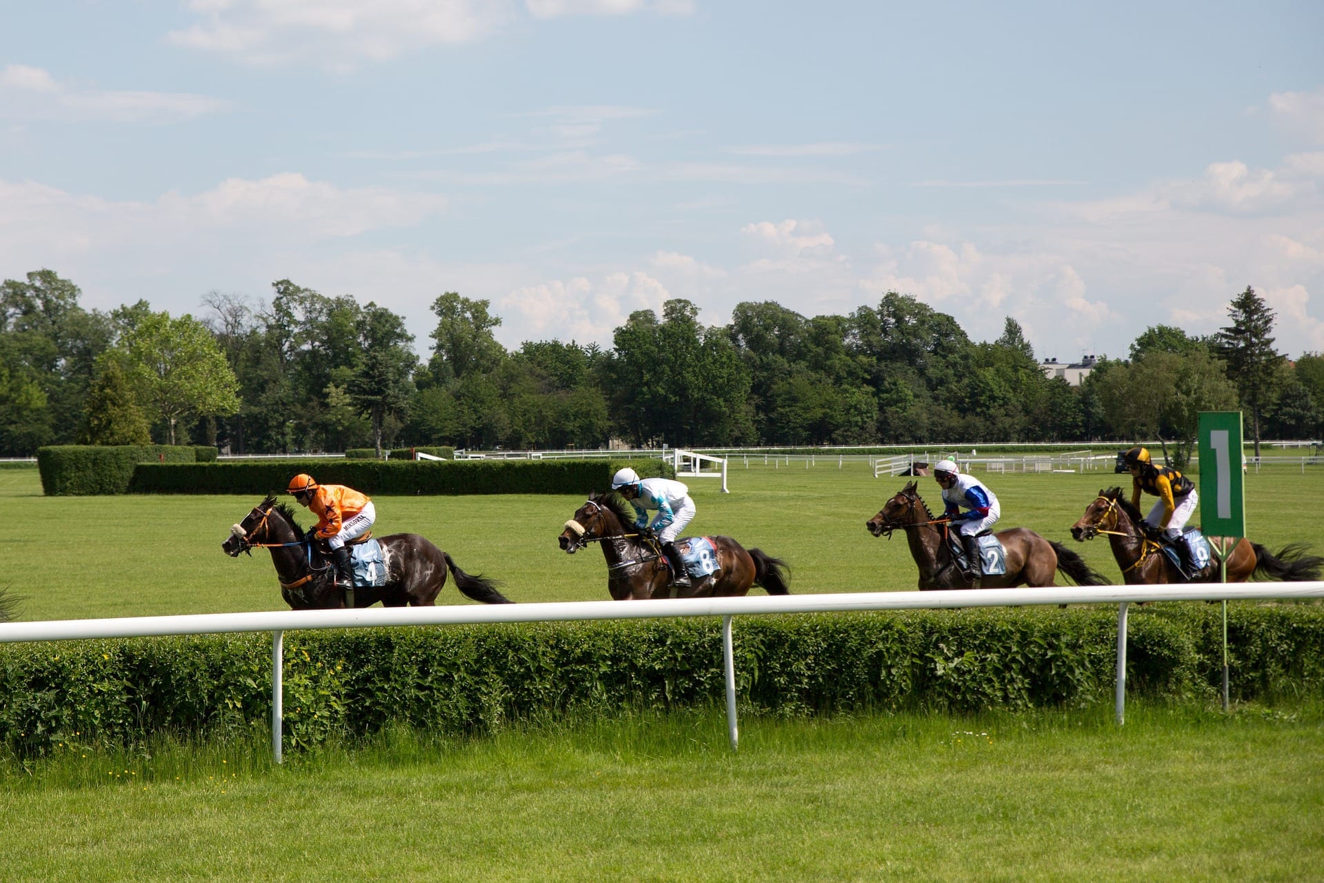 carl nicholson horse racing tips