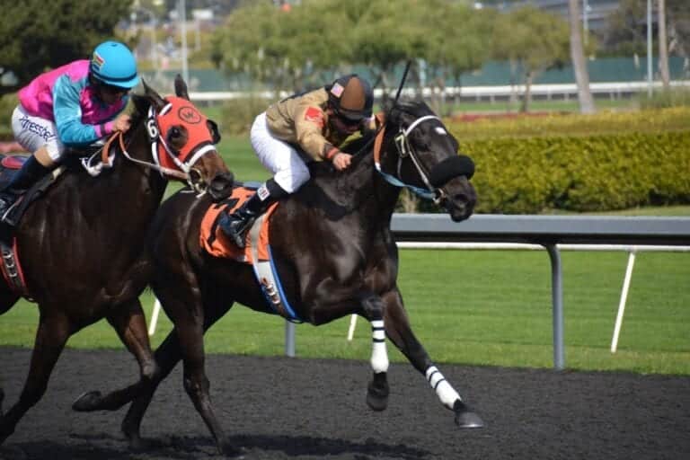 Examining Big “Gambles”