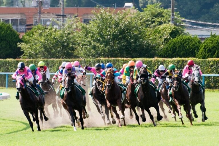 Trainers – Running More than One Horse in the Same Race