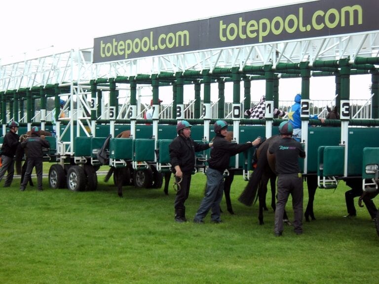 draw bias - horse racing stalls