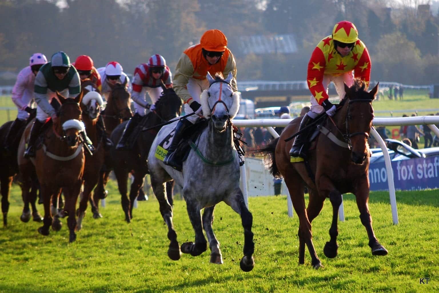 National Hunt Racing Action