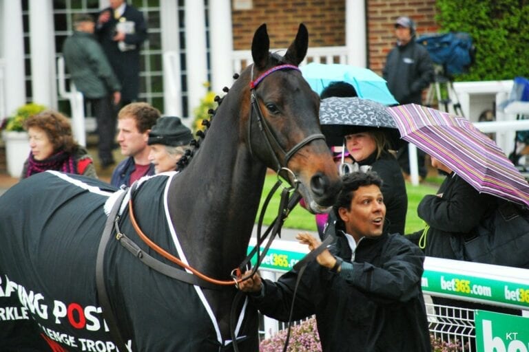 The Racing Horse – On the Bit