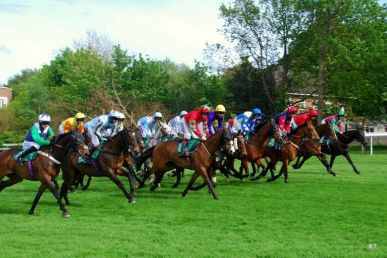 Bet365 Gold Cup, Punchestown & Newmarket