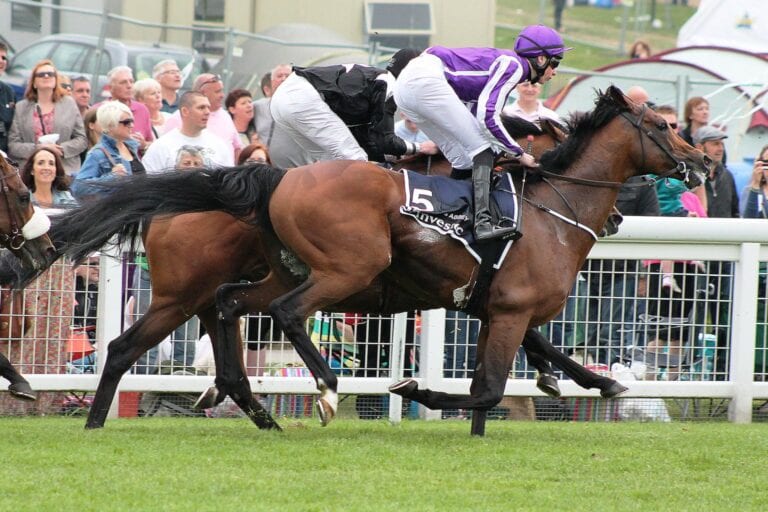 Horses Finishing 2nd or 3rd LTO in a Flat Race
