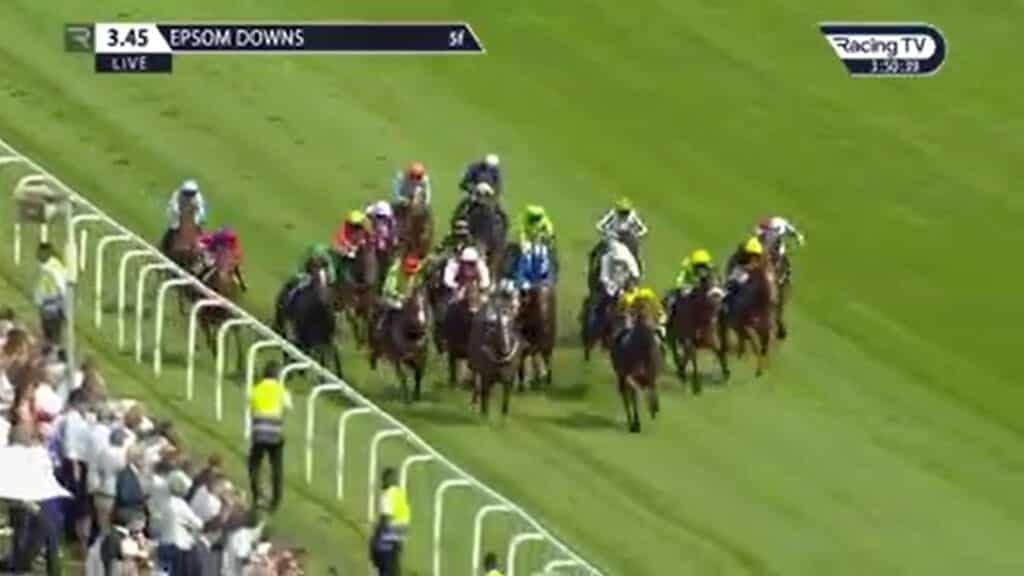 Video of ornates 2019 win.
