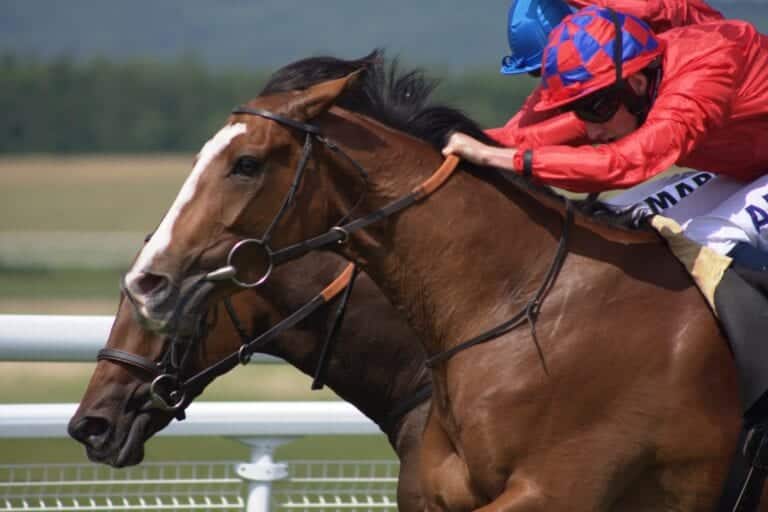 Northumberland Plate, Eclipse and King George