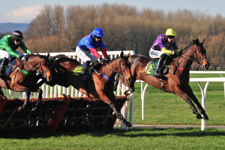 A Study of Longer Distance Handicap Hurdles – 2 miles 6 furlongs or more