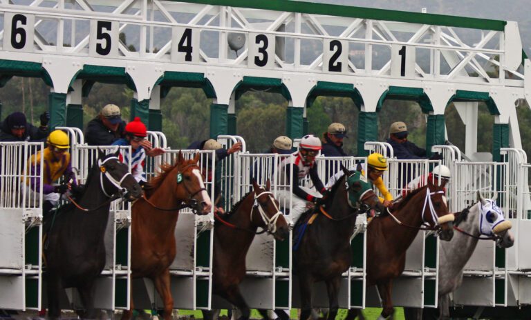 Backing Multiples – A ‘Mug’s Game’?