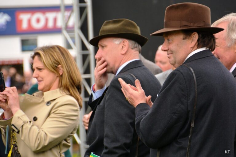 How much merit do certain types of trainer stats have?