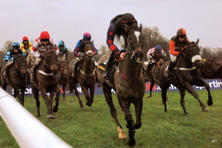 Research Corner – One Trick Pony?