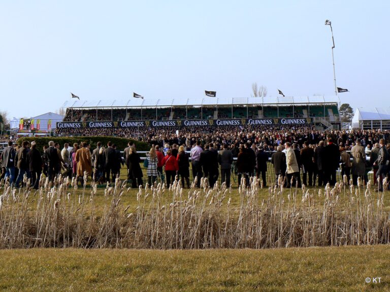 Cheltenham Festival – The Bets