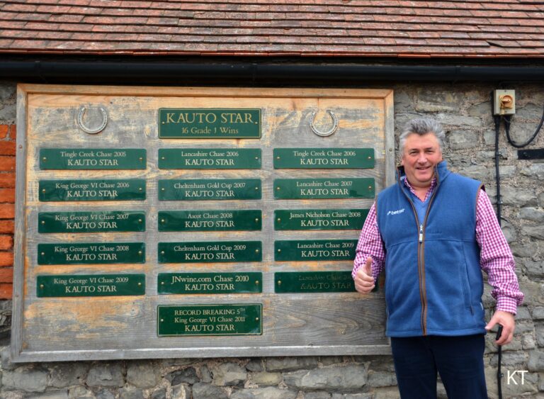 More Positive National Hunt Trainer Stats