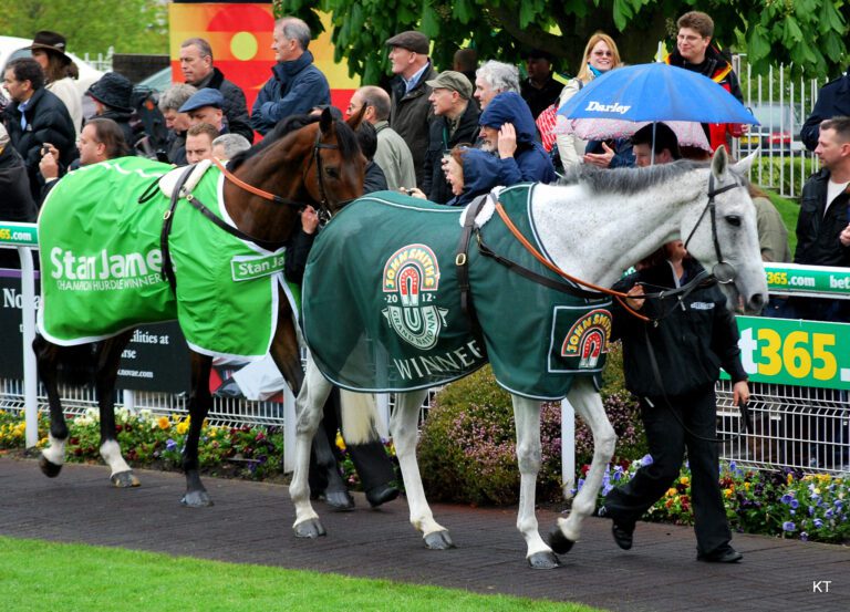 Trainer Pointers for The Cheltenham Festival