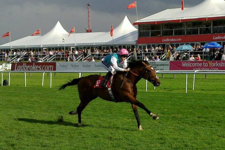 The One and Only Frankel