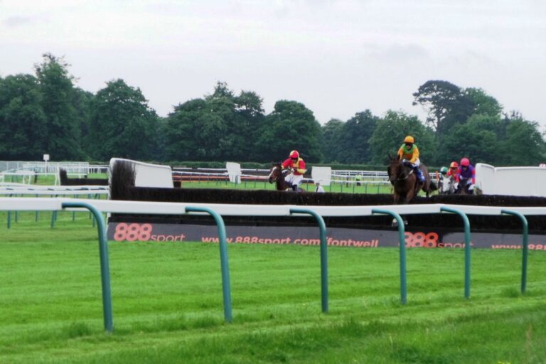 British Track Characteristics: Flat and National Hunt