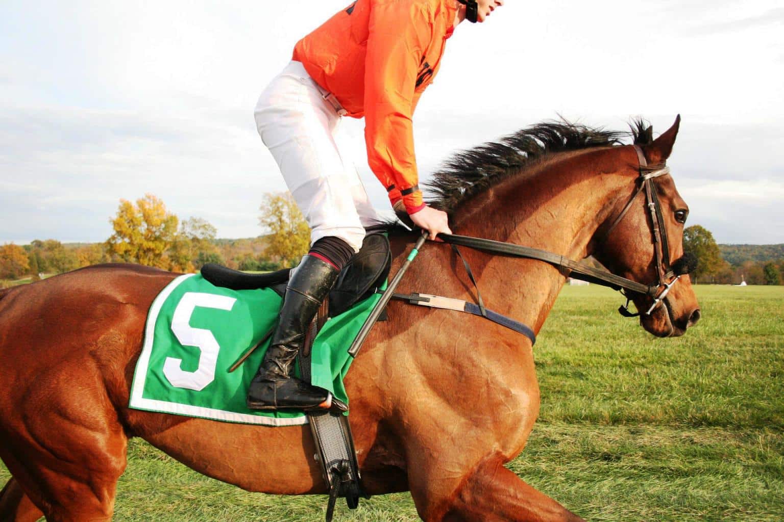 Jockey wearing orange silks riding down to post.
