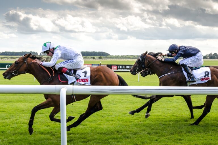Irish trainers in July and August