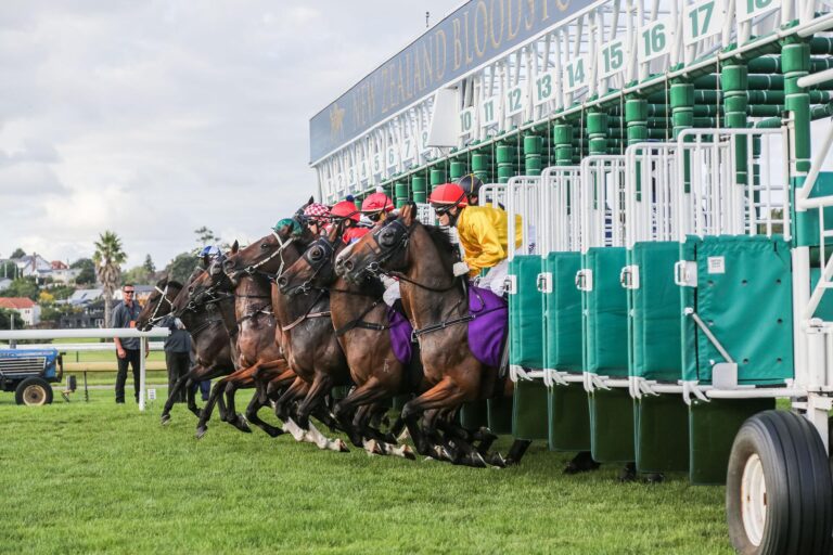 Market bias in 5f handicaps