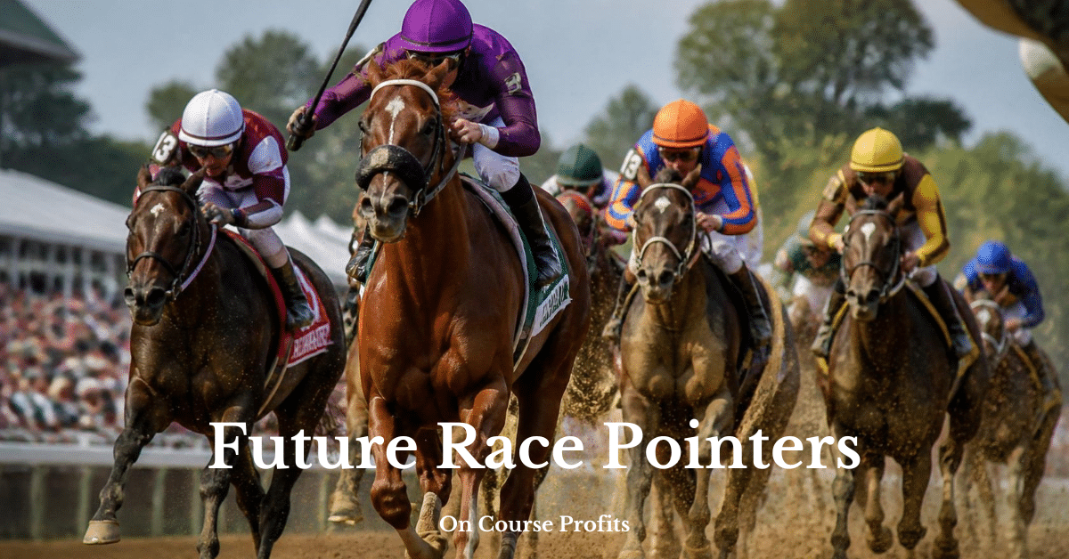 Image shows horses racing on an All Weather track with a text overlay of Future Race Pointers and www.oncoursprofits.com
