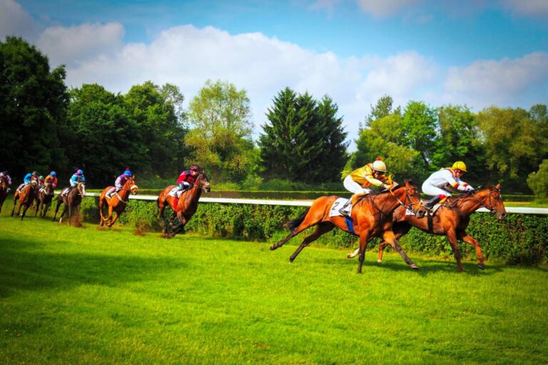 horse racing betting systems