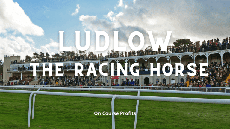 Ludlow Horse Racing Tips for Today