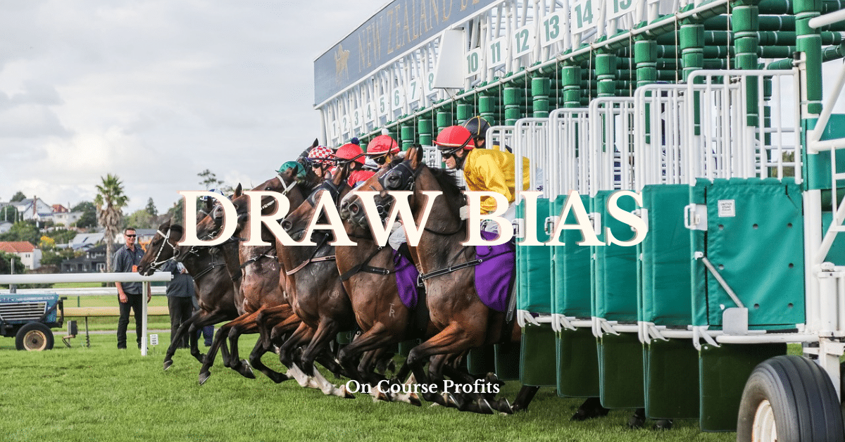 Image shows horses breaking from race stalls. They are running on a turf track.