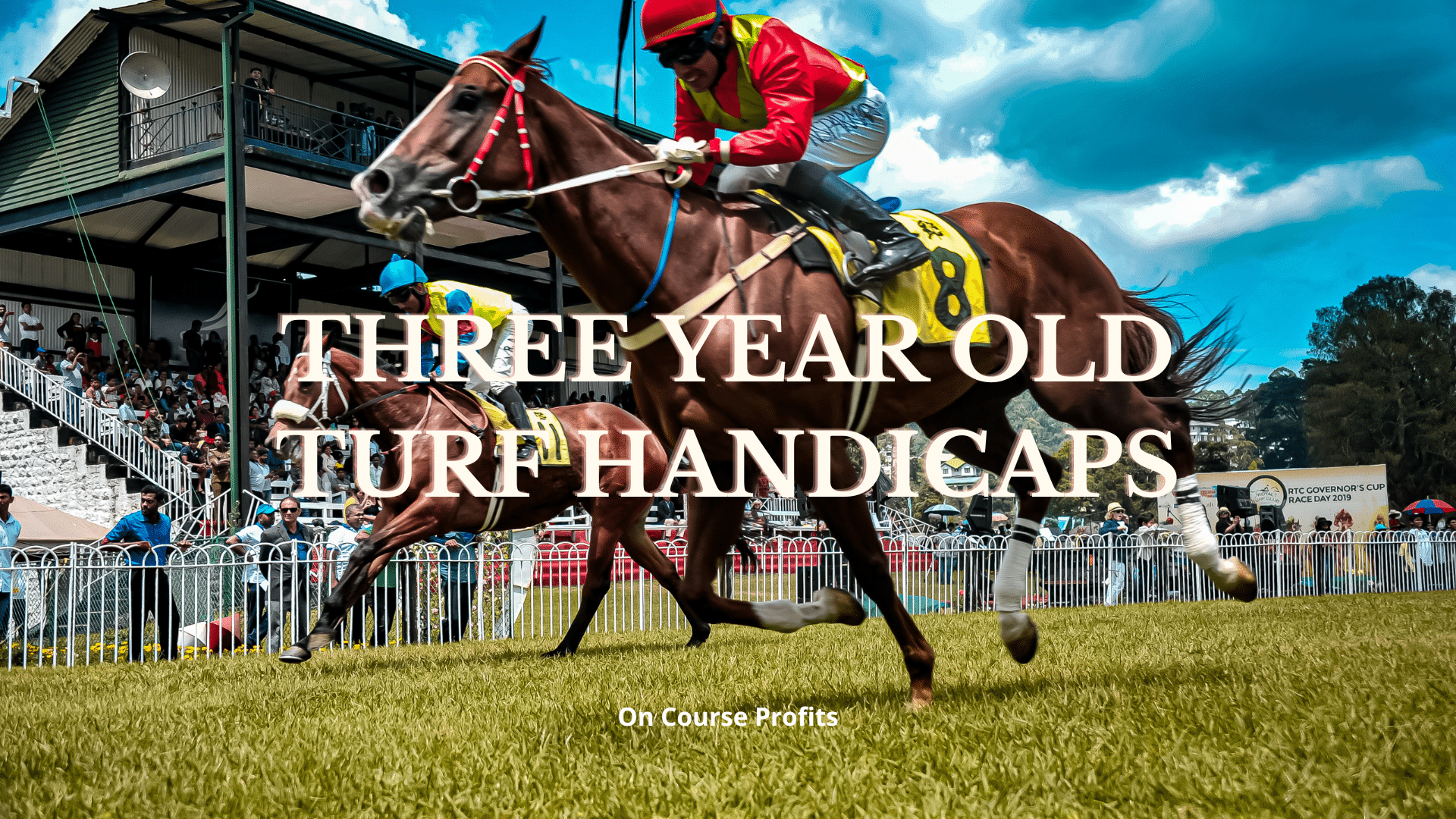 Image of horses racing on the turf in the summer, with jockey wearing red and horse cloth showing the number eight.