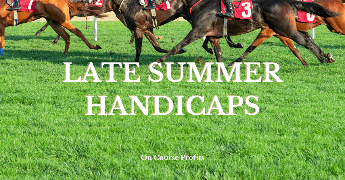 Race horses running on green turf in the summer