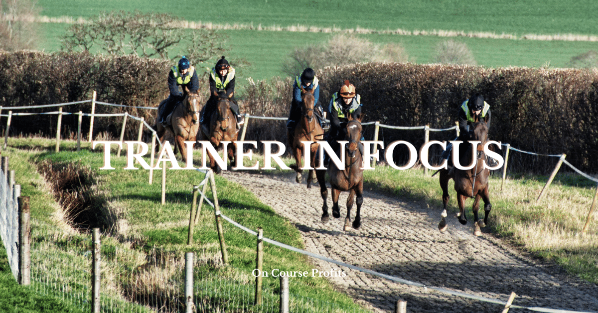 Horses training on an all weather gallop.