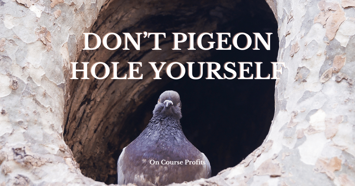 Pigeon sitting in a hole