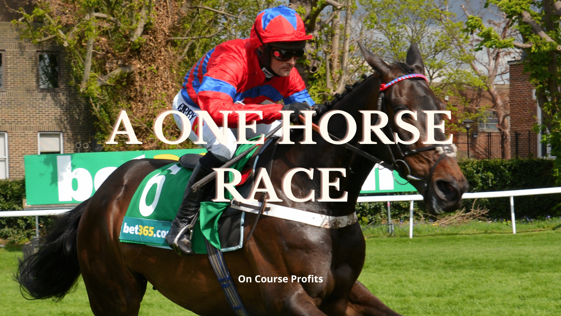Image shows a racehorse galloping with the jockey wearing red and blue silks.